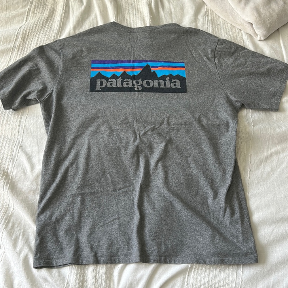 Patagonia P-6 Tee